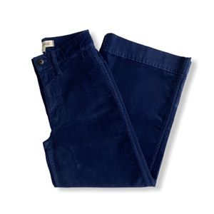 Madewell Emmett Blue Wide-Leg Crop Pants Velour 23